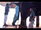 https://image.noelshack.com/fichiers/2009/45/1257169336-dildomanforelephantpho170.jpg