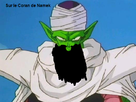 https://image.noelshack.com/fichiers/2009/45/1257686125-piccolo-muslim042535.png