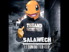https://image.noelshack.com/fichiers/2010/26/1278085491-salawech4.jpg