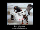 https://image.noelshack.com/fichiers/2010/36/1283810060-tumblr_l6bruajpxb1qzym8uo1_500.jpg