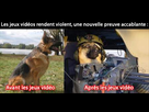 https://image.noelshack.com/fichiers/2010/40/1286200818-anne0-1abdac6e67.jpg