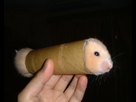 https://image.noelshack.com/fichiers/2011/06/1297545819-hamster.jpg