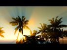 https://image.noelshack.com/fichiers/2011/07/1297948561-crysis_20110130_16405438.jpg