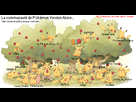 https://image.noelshack.com/fichiers/2011/30/1311635765-pikachucommu.png