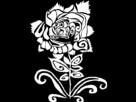 https://image.noelshack.com/fichiers/2012/08/1329956710-ghig.png