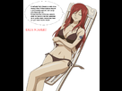 https://image.noelshack.com/fichiers/2012/09/1330871595-erza_enjoying_the_sunset_by_zagtul.png