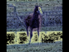 https://image.noelshack.com/fichiers/2012/10/1331177286-1330758794523.gif