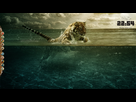 https://image.noelshack.com/fichiers/2012/10/1331243832-sans_titre_1-fa799de047.png