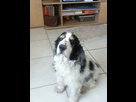 https://image.noelshack.com/fichiers/2012/13/1333268893-iPhone-image-04-01-2012..jpg