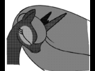 https://image.noelshack.com/fichiers/2012/14/1333399461-Sanstitre.png