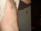 https://image.noelshack.com/fichiers/2012/14/1333484795-DSC03864.jpg