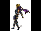 https://image.noelshack.com/fichiers/2012/14/1333643272-Zelda__Sheik_Uncloaked_by_DeityofShadows.jpg