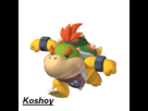 https://www.noelshack.com/2012-14-1333900102-BowserJr.-Koshoy.jpg