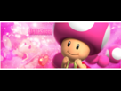 https://image.noelshack.com/fichiers/2012/14/1333909318-TOADETTE.png