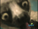https://image.noelshack.com/fichiers/2012/16/1334612874-1330844331784.gif