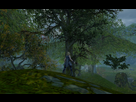 https://image.noelshack.com/fichiers/2012/16/1334954585-Aion0001.jpg