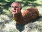https://image.noelshack.com/fichiers/2012/16/1335122459-cheminasticot.png