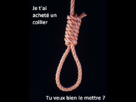 https://image.noelshack.com/fichiers/2012/17/1335238981-Collier.png