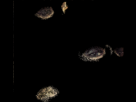 https://image.noelshack.com/fichiers/2012/17/1335279168-cinemagraph-611.gif