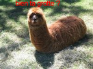 https://image.noelshack.com/fichiers/2012/17/1335288669-JVC(15).jpg