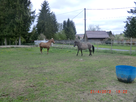 https://image.noelshack.com/fichiers/2012/17/1335555957-CIMG6296.jpg