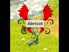 https://image.noelshack.com/fichiers/2012/17/1335654303-abricooooooot.jpg