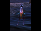 https://image.noelshack.com/fichiers/2012/17/1335662017-MinipetGuildWars2(4).jpg