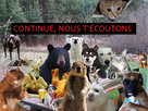 https://image.noelshack.com/fichiers/2012/18/1335746315-continue.jpg