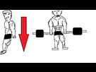 https://image.noelshack.com/fichiers/2012/18/1335779038-squat.png