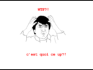 https://image.noelshack.com/fichiers/2012/18/1335783885-wtfup.png