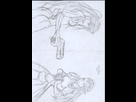 https://image.noelshack.com/fichiers/2012/18/1336143573-Samus_Zelda.jpg