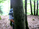https://image.noelshack.com/fichiers/2012/18/1336150261-Image5l+.jpg