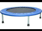 https://image.noelshack.com/fichiers/2012/18/1336162099-Mini-Trampoline-Minimax.jpg