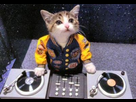 https://image.noelshack.com/fichiers/2012/18/1336162354-dj-humain.jpg