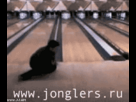 https://image.noelshack.com/fichiers/2012/18/1336254282-jongleur_bowling.gif