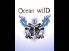 https://image.noelshack.com/fichiers/2012/19/1336411263-OceanWildlast.png