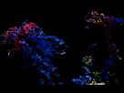 https://image.noelshack.com/fichiers/2012/19/1336496194-PepFinal.gif
