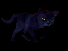 https://image.noelshack.com/fichiers/2012/19/1336595560-chat.png