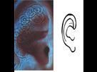 https://image.noelshack.com/fichiers/2012/19/1336673987-meddle.png