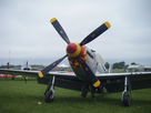 https://image.noelshack.com/fichiers/2012/20/1337007120-P51Mustang(3).jpg