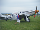 https://image.noelshack.com/fichiers/2012/20/1337007123-P51Mustang(5).jpg