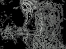 https://image.noelshack.com/fichiers/2012/20/1337023924-1336870073925.gif