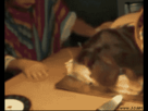 https://image.noelshack.com/fichiers/2012/20/1337286348-1330981041477.gif