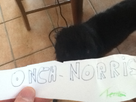 https://image.noelshack.com/fichiers/2012/20/1337343613-IMG_0706.jpg