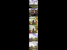 https://image.noelshack.com/fichiers/2012/21/1337631885-135823-applejackapple_bloomartist_aphexangelask_stalkerlooscootaloostalkerlootumblr.jpg