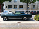 https://image.noelshack.com/fichiers/2012/21/1337709404-Mustang.jpg