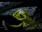 https://image.noelshack.com/fichiers/2012/21/1338060131-1336493791811.gif