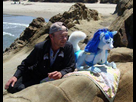 https://image.noelshack.com/fichiers/2012/21/1338063151-forever-alone-real-life-furry-doll1.jpg