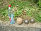 https://image.noelshack.com/fichiers/2012/21/1338131128-boules002.jpg