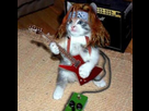 https://image.noelshack.com/fichiers/2012/21/1338153990-1241287332_small.jpg